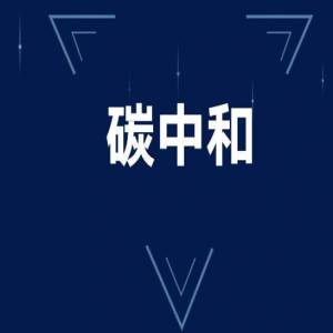 碳中和實踐中的風(fēng)機并網(wǎng)逆變器的應(yīng)用